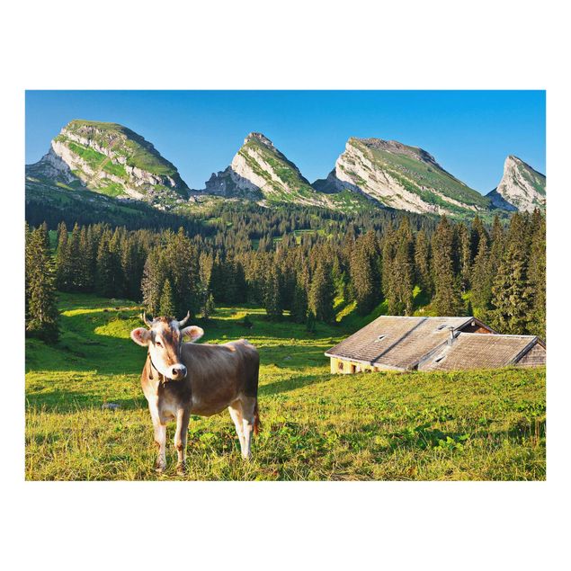 Quadri montagna Prato alpino svizzero con mucca