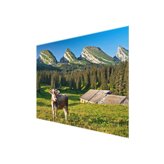Quadri in vetro con paesaggio Prato alpino svizzero con mucca