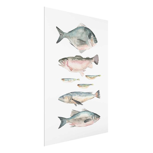 Quadri con animali Sette pesci in acquerello II