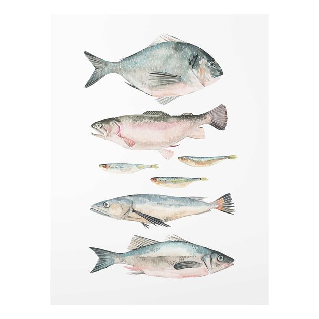 Quadri Sette pesci in acquerello II