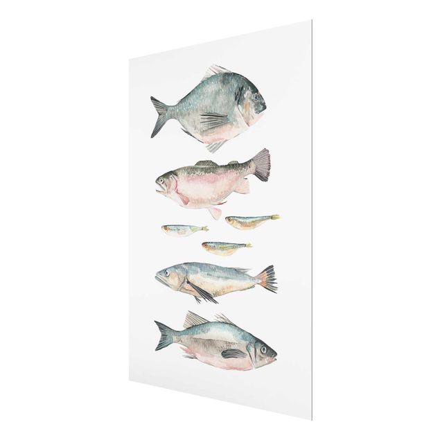Magnettafel Glas Sette pesci in acquerello II