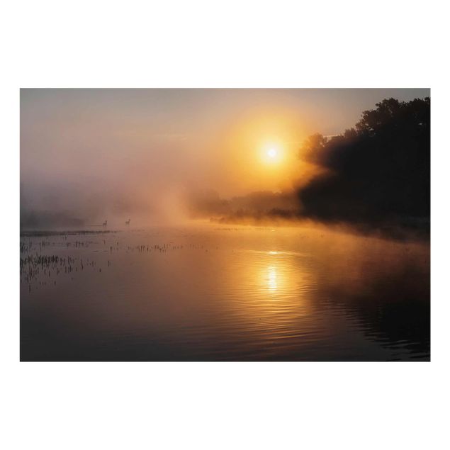 Quadri marroni Alba sul lago con cervi nella nebbia