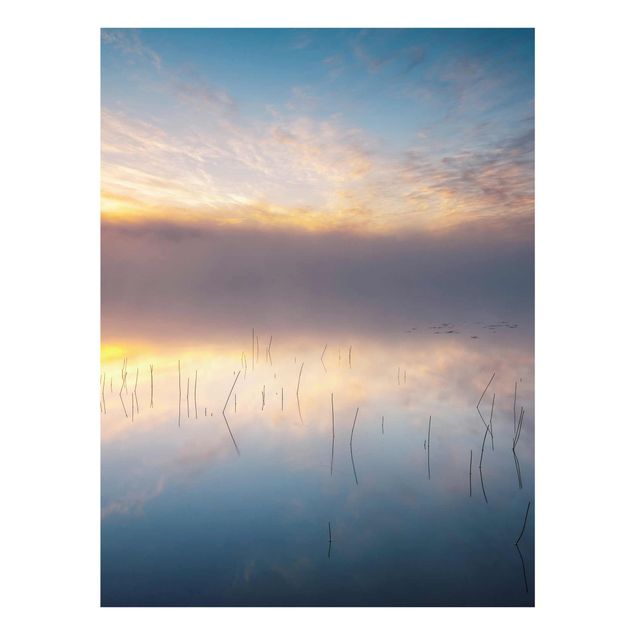 Quadri natura Alba lago svedese