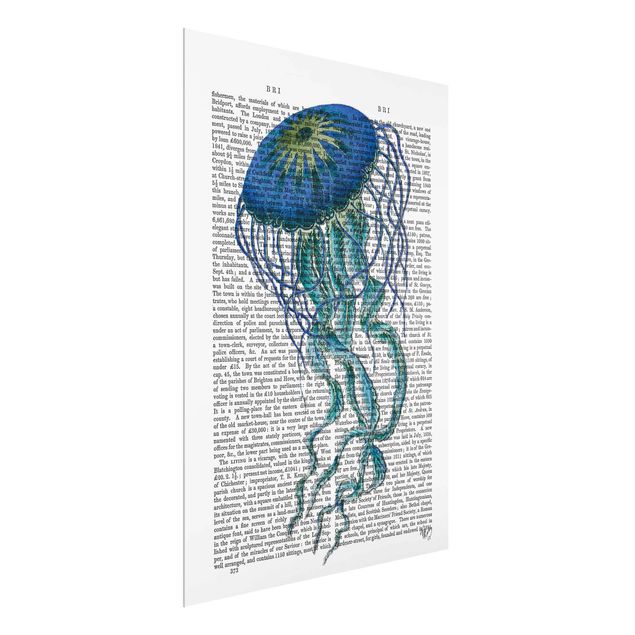 Quadro blu Lettura con animali - Medusa