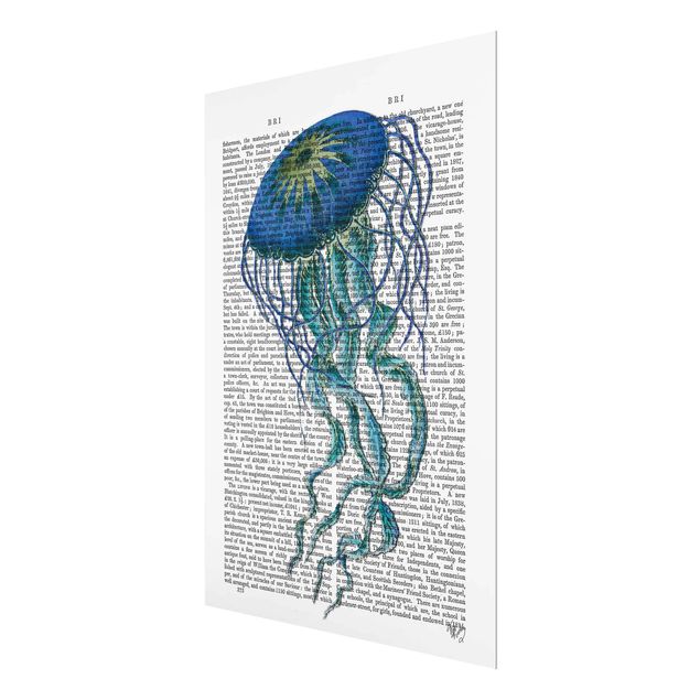 Magnettafel Glas Lettura con animali - Medusa