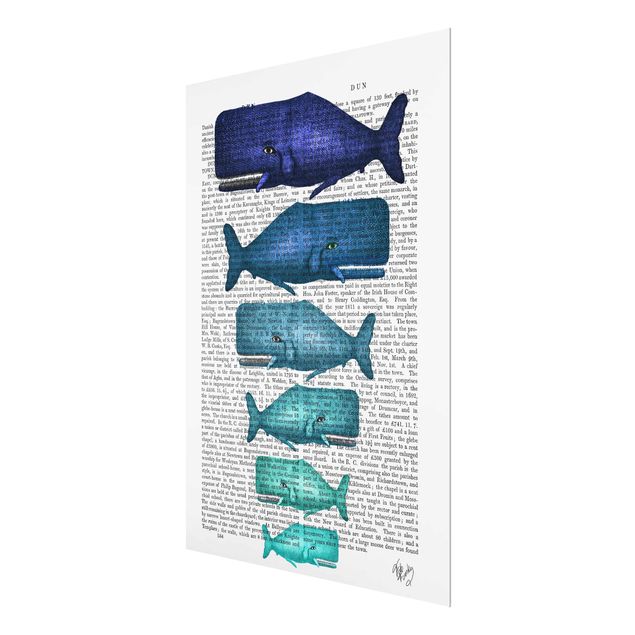 Glas Magnettafel Lettura con animali - Famiglia di balene