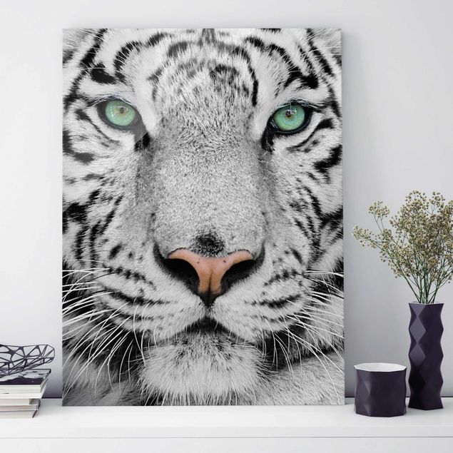 Quadro con tigre Tigre bianca