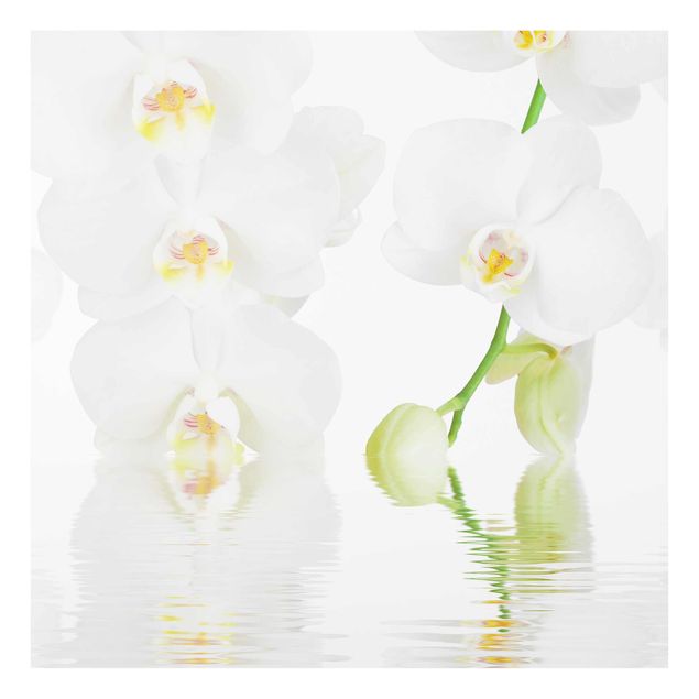 Quadri con fiori Wellness Orchid