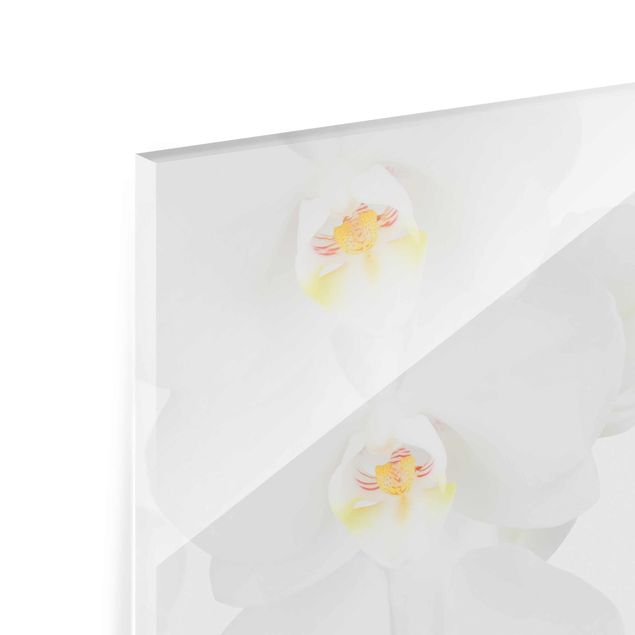 Quadro in vetro - Wellness Orchid - Quadrato 1:1