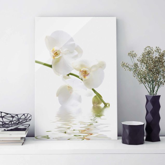 Quadri in vetro con orchidee Acque di orchidea bianca