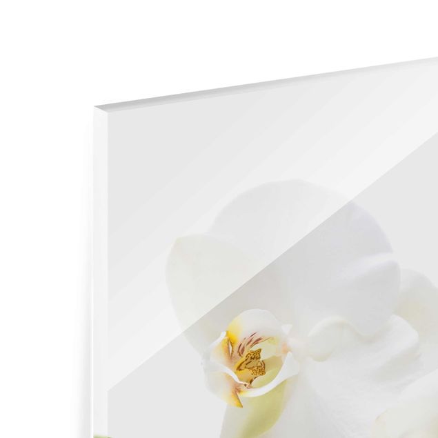 Quadro in vetro - White Orchid Waters - Verticale 2:3