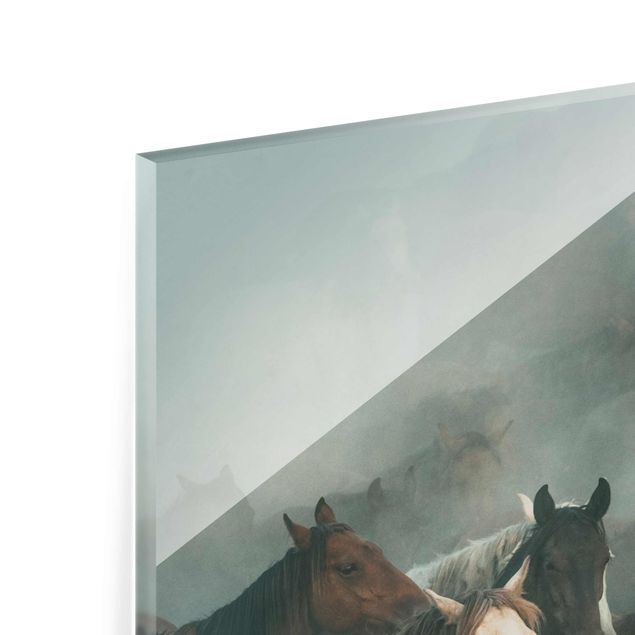 Quadro in vetro - Wild Horses - Quadrato 1:1