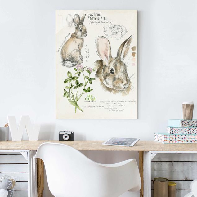 Quadro moderno Diario della natura selvaggia - Coniglio