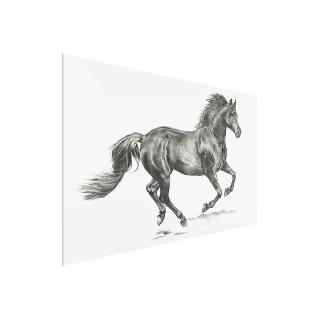 Quadri in vetro con animali Prova del cavallo selvaggio - Stallone