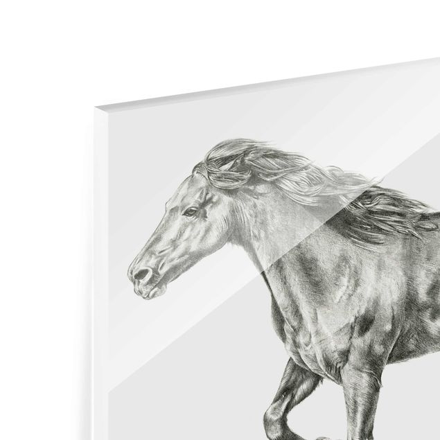 Quadro in vetro - Processo Wild Horse - Mare - Orizzontale 3:2
