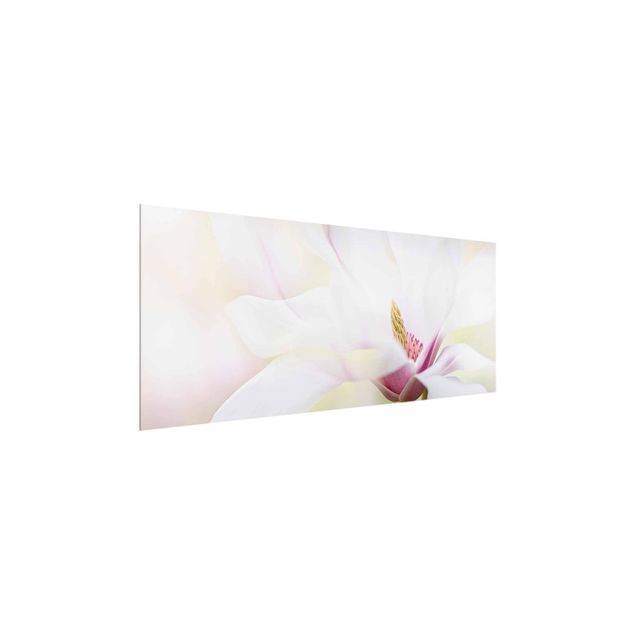 Quadri Delicato fiore di magnolia