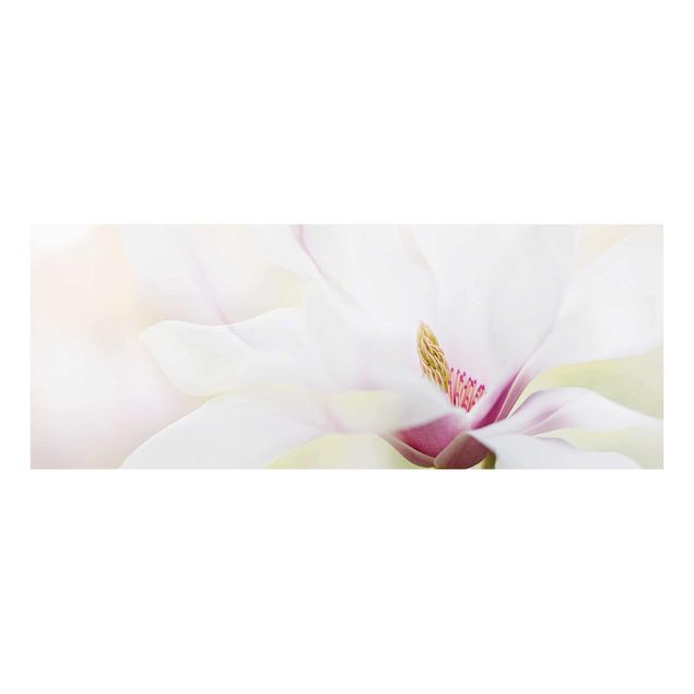 Magnettafel Glas Delicato fiore di magnolia