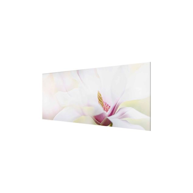 Quadro in vetro - Delicate Magnolia Blossom - Panoramico