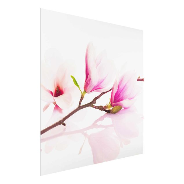 Quadri rosa Delicato ramo di magnolia