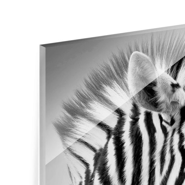 Magnettafel Glas Ritratto di piccola zebra II