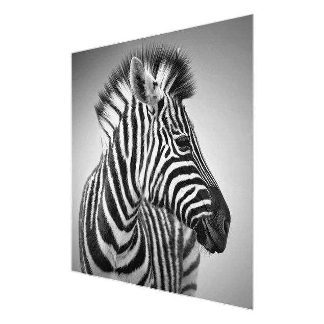 Stampe Ritratto di piccola zebra II