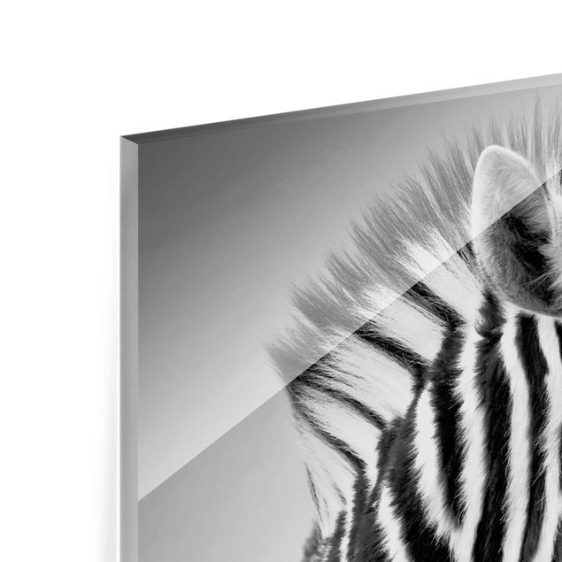 Quadro in vetro - Zebra Baby Portrait II - Quadrato 1:1