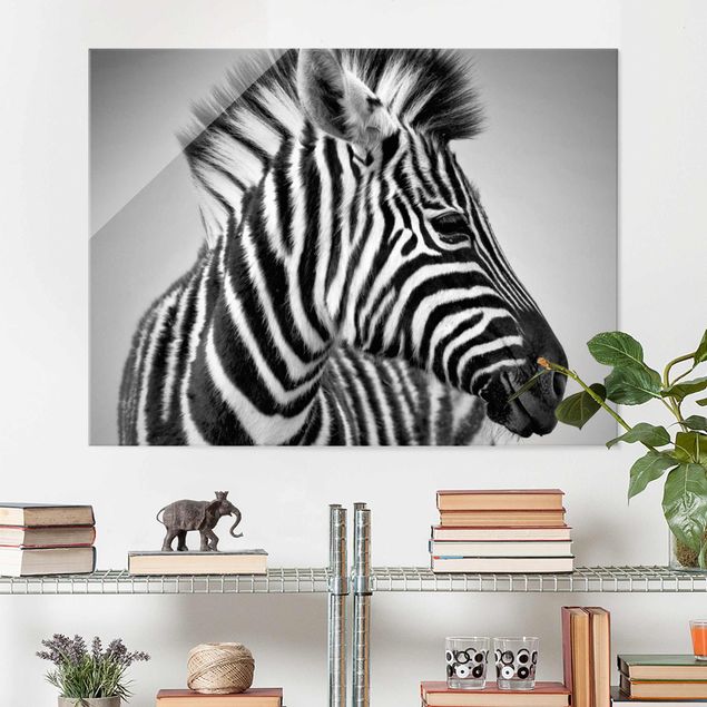 Quadro Africa Ritratto di piccola zebra II