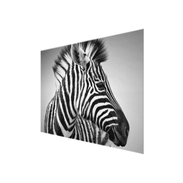 Quadri Ritratto di piccola zebra II