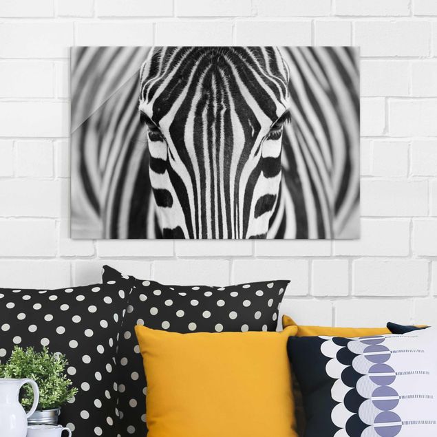 Quadri Africa Sguardo da zebra