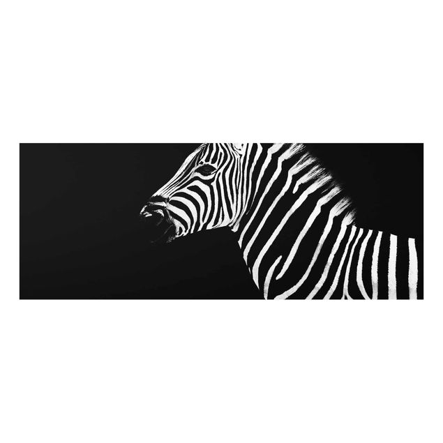 Quadri stampe Zebra Safari Art