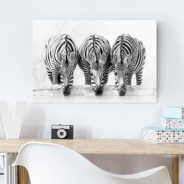 Quadri zebra Trio di zebre in bianco e nero
