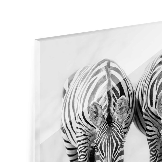 Quadro in vetro - Zebra Trio in bianco e nero - Orizzontale 3:2
