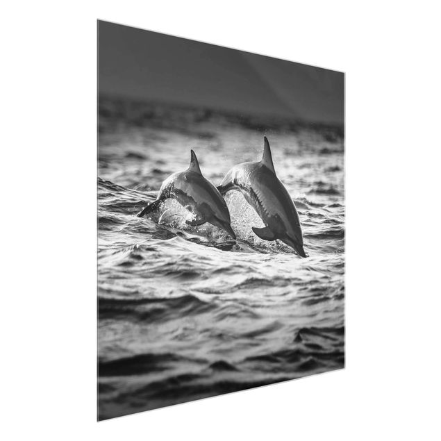 Quadri in vetro con animali Due delfini che saltano