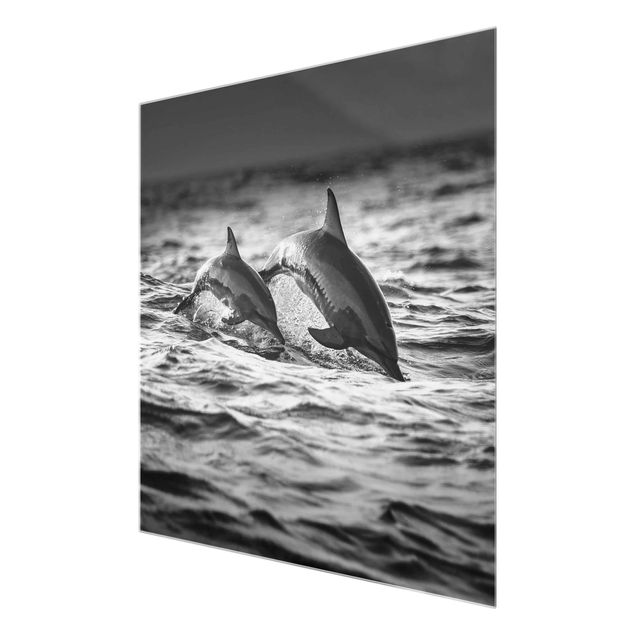Glas Magnetboard Due delfini che saltano