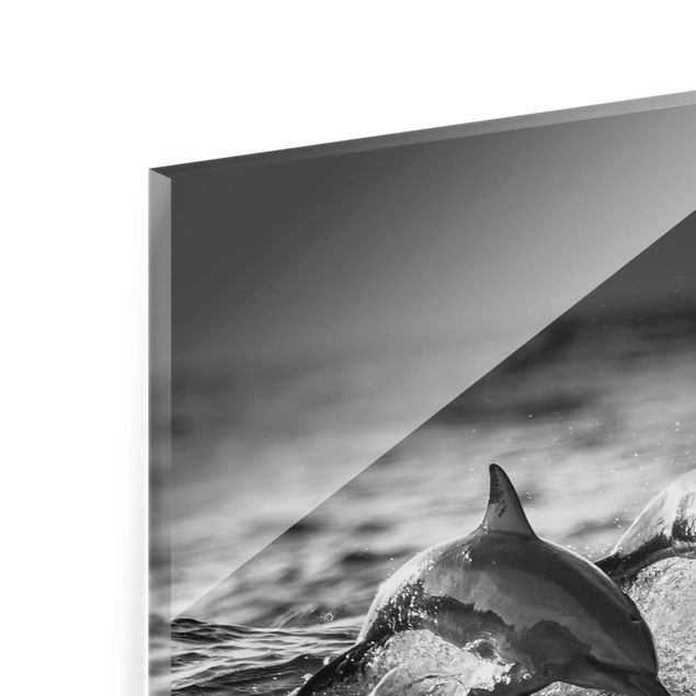 Quadro in vetro - Due delfini che saltano - Quadrato 1:1