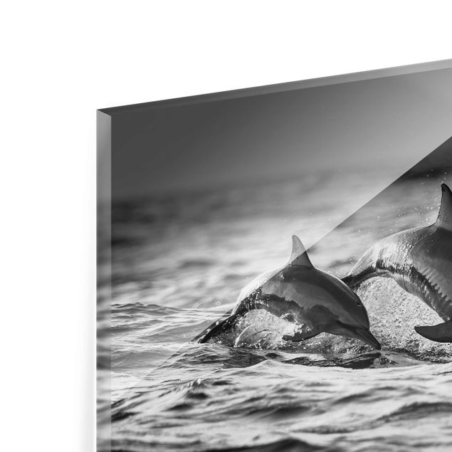 Quadro in vetro - Due delfini che saltano - Orizzontale 3:2