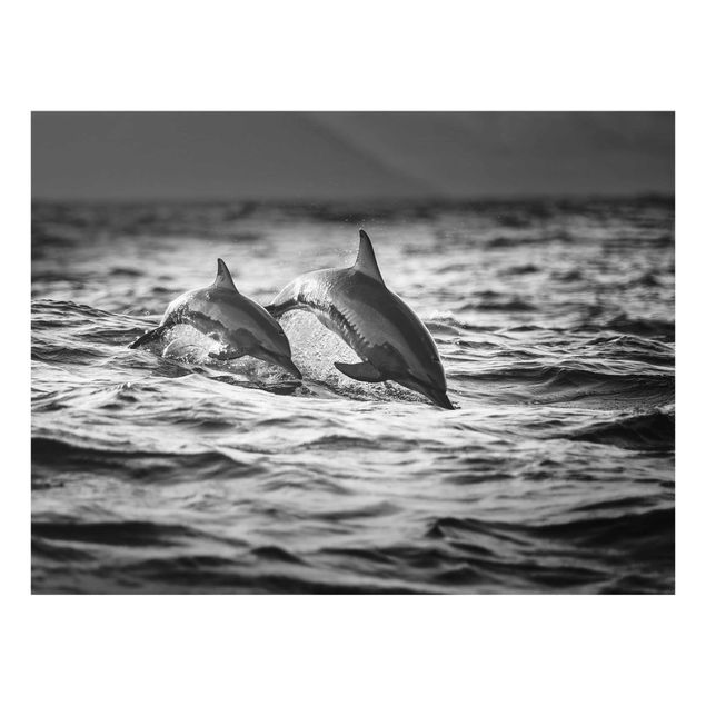 Quadri Due delfini che saltano