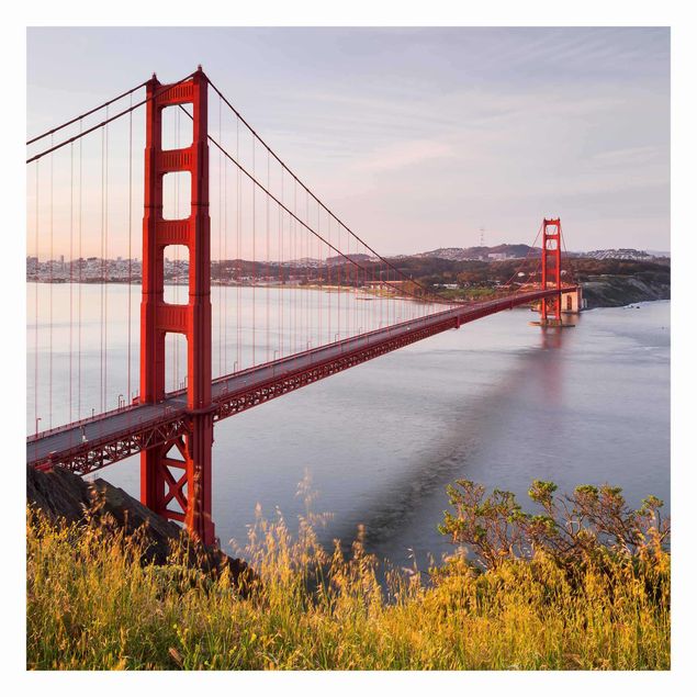 Quadri Rainer Mirau Ponte del Golden Gate a San Francisco