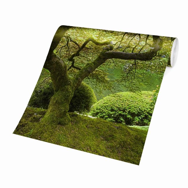 Carte da parati paesaggio Giardino verde giapponese