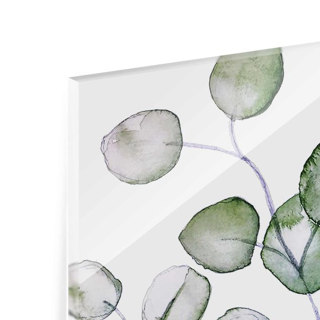 Glas Magnetboard Ramo di eucalipto verde ad acquerello