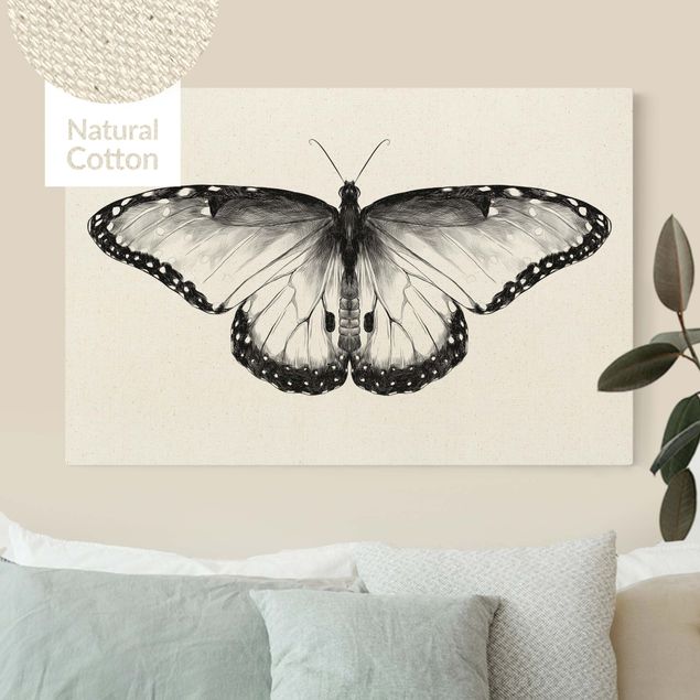 Quadri su tela con farfalle Illustrazione Morfo comune volante Nero