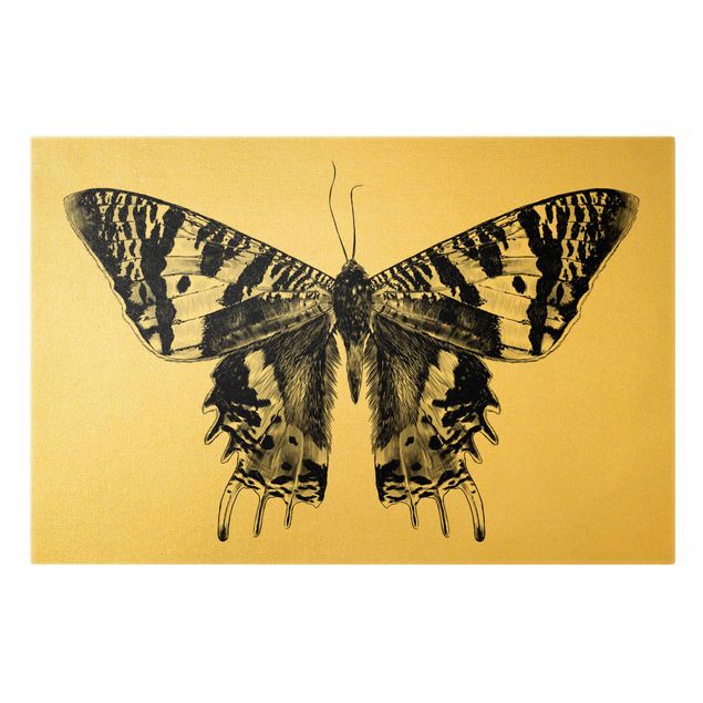 Stampe su tela animali Illustrazione di farfalla del Madagascar che vola