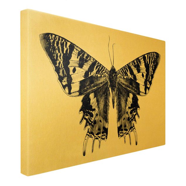 Quadri sfondo nero Illustrazione di farfalla del Madagascar che vola