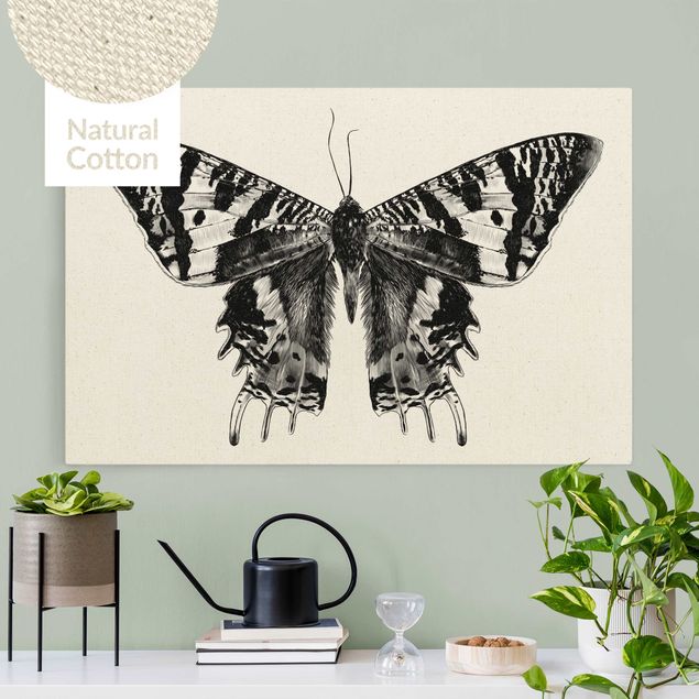 Quadri su tela con farfalle Illustrazione Farfalla volante del Madagascar