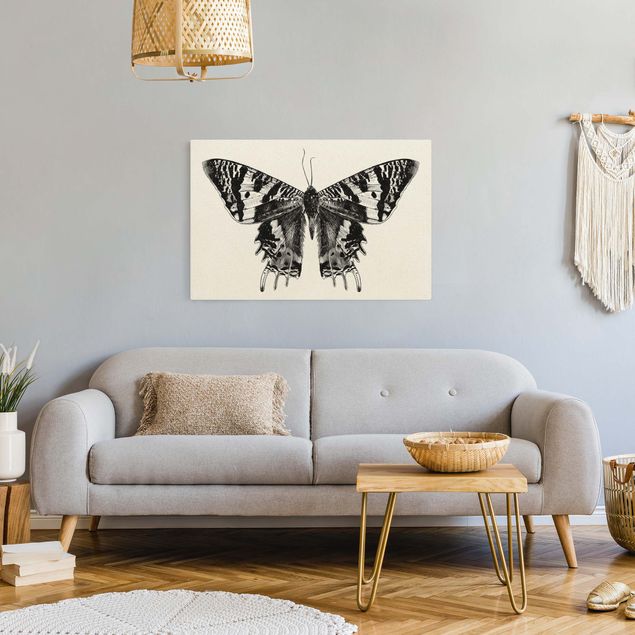Quadro moderno Illustrazione Farfalla volante del Madagascar