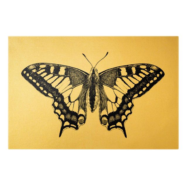 Stampe su tela animali Illustrazione di macaone che vola in nero