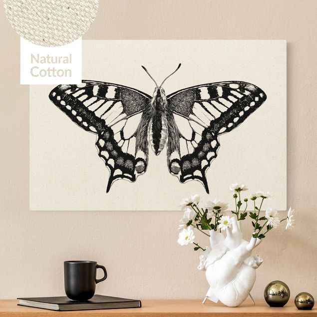 Quadri su tela con farfalle Illustrazione Coda di rondine volante nero