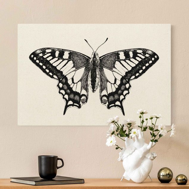 Quadri di farfalle Illustrazione Coda di rondine volante nero
