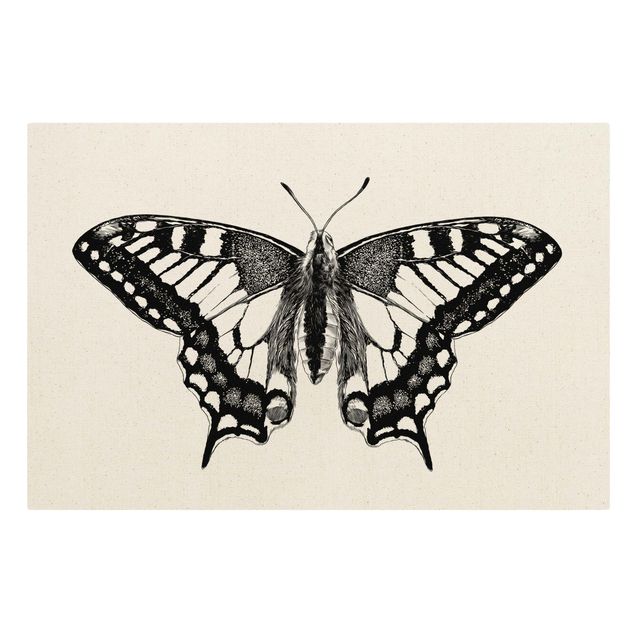 Stampe su tela animali Illustrazione Coda di rondine volante nero