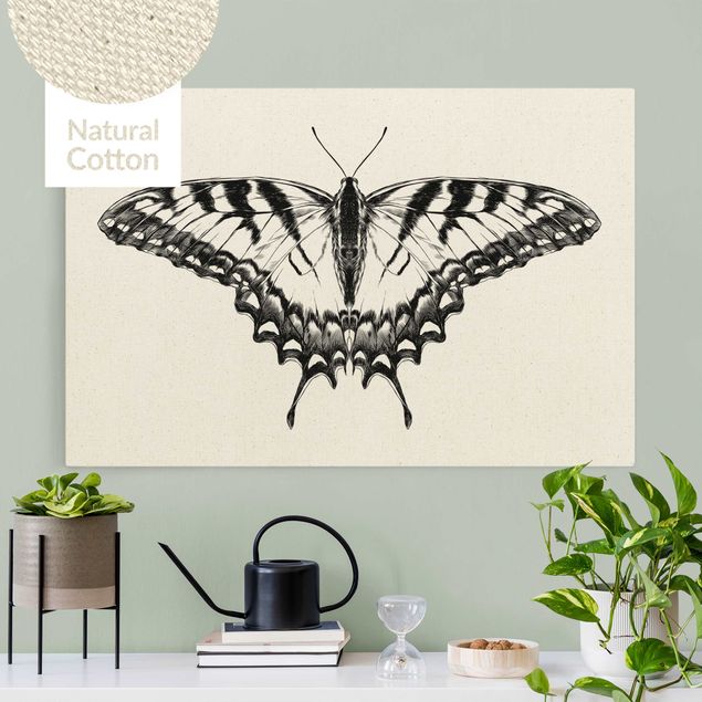 Quadri su tela con farfalle Illustrazione Coda di rondine volante nera